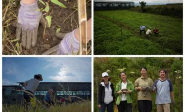 Dali Wellness Retreat,Dali,Chinatour Collage of volunteers working on a farm: top-left shows gloved hands planting a seedling in soil; top-right shows people tending crops in a green field near a building; bottom-left shows a person in a field with tall grass and a blue sky; bottom-right shows four volunteers standing together, holding bowls and smiling.