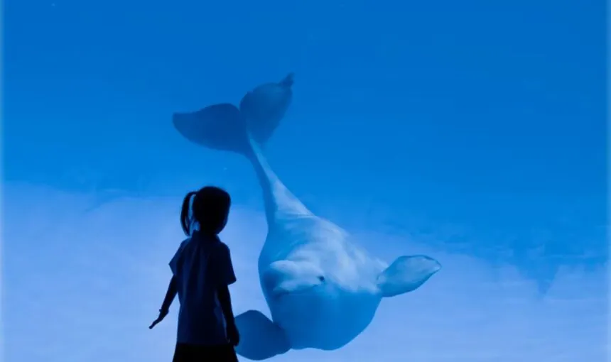Your guide to unforgettable moments at Hainan Ocean Paradise