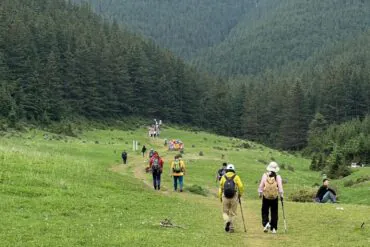 Helan Mountain National Forest Park,YincShapotou Desert Scenic Area,Yinchuan,Ningxia,Chinatravel Group of hikers with backpacks walking along a grassy trail toward a dense pine forest.