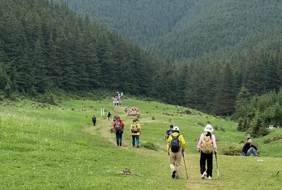 Helan Mountain National Forest Park,YincShapotou Desert Scenic Area,Yinchuan,Ningxia,Chinatravel Group of hikers with backpacks walking along a grassy trail toward a dense pine forest.