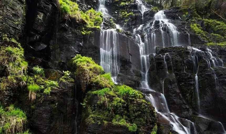 Family-Friendly Travel Guide to Lushuihe National Forest Park