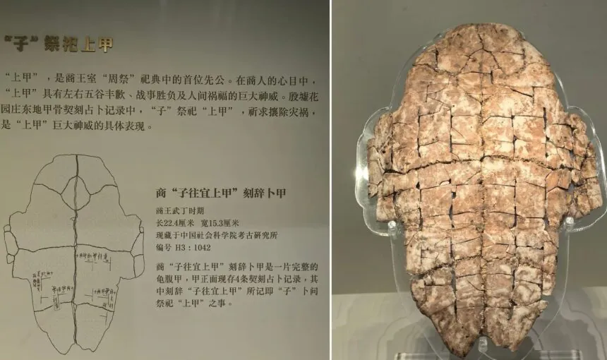 Anyang Museum Essentials Location, Hours, and Insider Advice