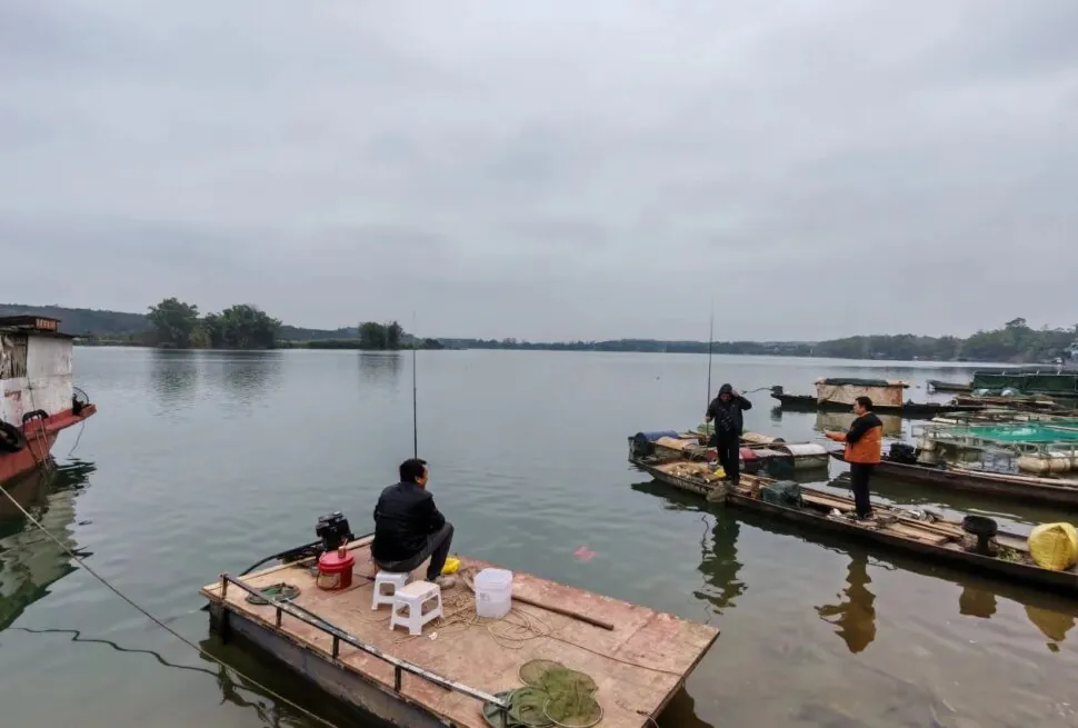 Yangmei Ancient Town,Nanning,Guangxi,Chinaexplorertour Men fishing from flat wooden boats on a calm river under a gray, overcast sky.