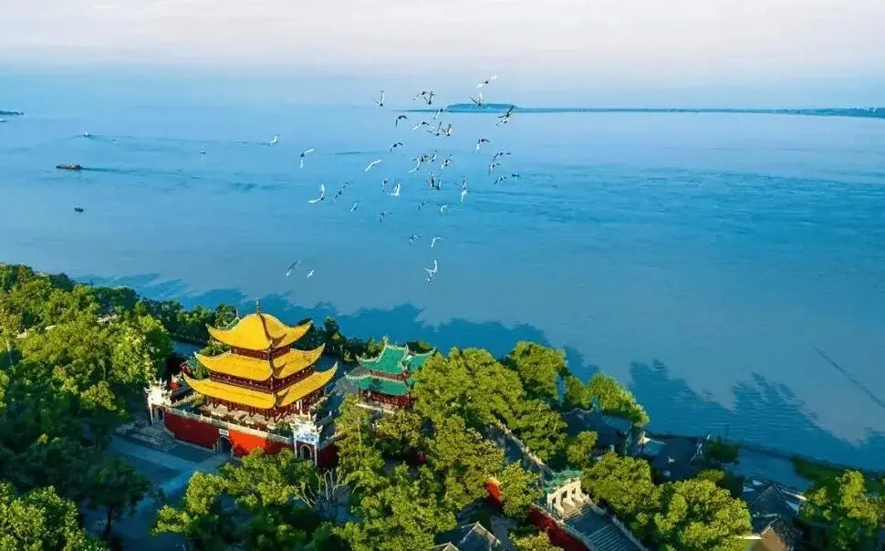 Dongting Lake,Yueyang,Hunan,Chinaexplorertour Aerial view of a yellow-roofed Chinese pagoda by a tree-lined lake with birds flying overhead.