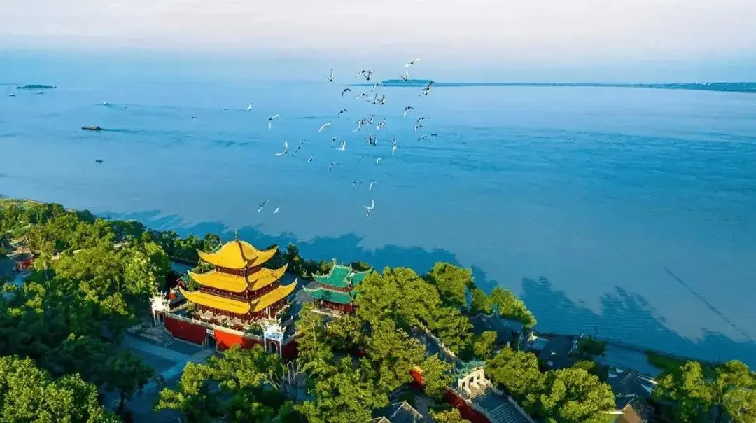 Dongting Lake,Yueyang,Hunan,Chinaexplorertour Aerial view of a yellow-roofed Chinese pagoda by a tree-lined lake with birds flying overhead.