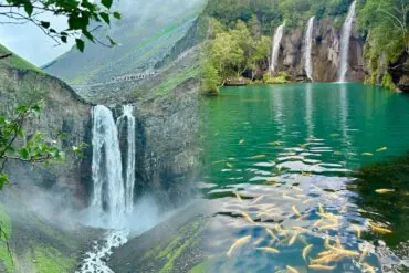 Green Deep Pool,Baishan,Jilin,Chinatravel Waterfalls spill into a turquoise lake framed by green cliffs and trees, with many fish visible near the surface.