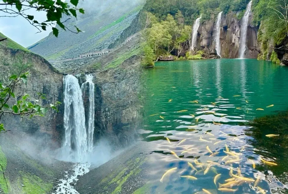 Green Deep Pool,Baishan,Jilin,Chinatravel Waterfalls spill into a turquoise lake framed by green cliffs and trees, with many fish visible near the surface.