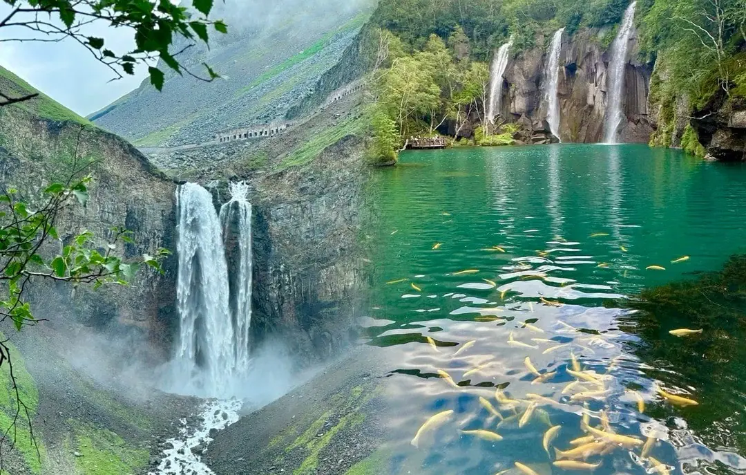 Green Deep Pool,Baishan,Jilin,Chinatravel Waterfalls spill into a turquoise lake framed by green cliffs and trees, with many fish visible near the surface.
