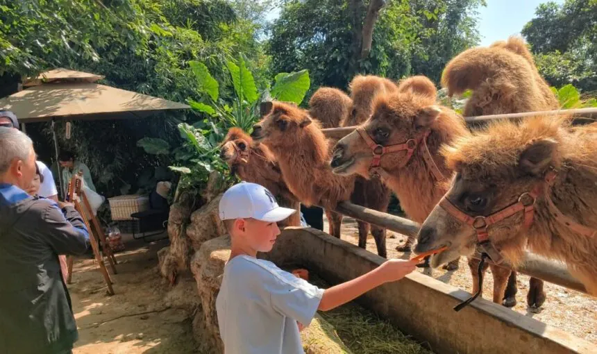Opening Hours and Facilities at Haikou Botanical & Zoological Garden