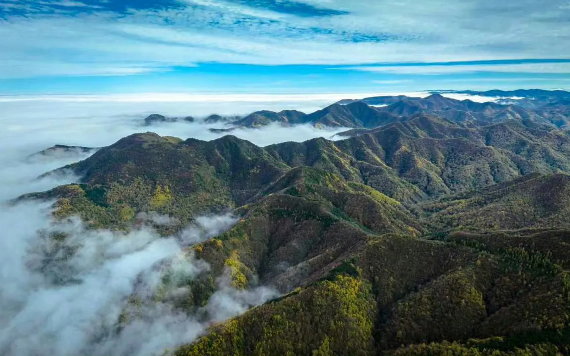 Liupan Mountain,Guyuan,Ningxia,Chinatravel