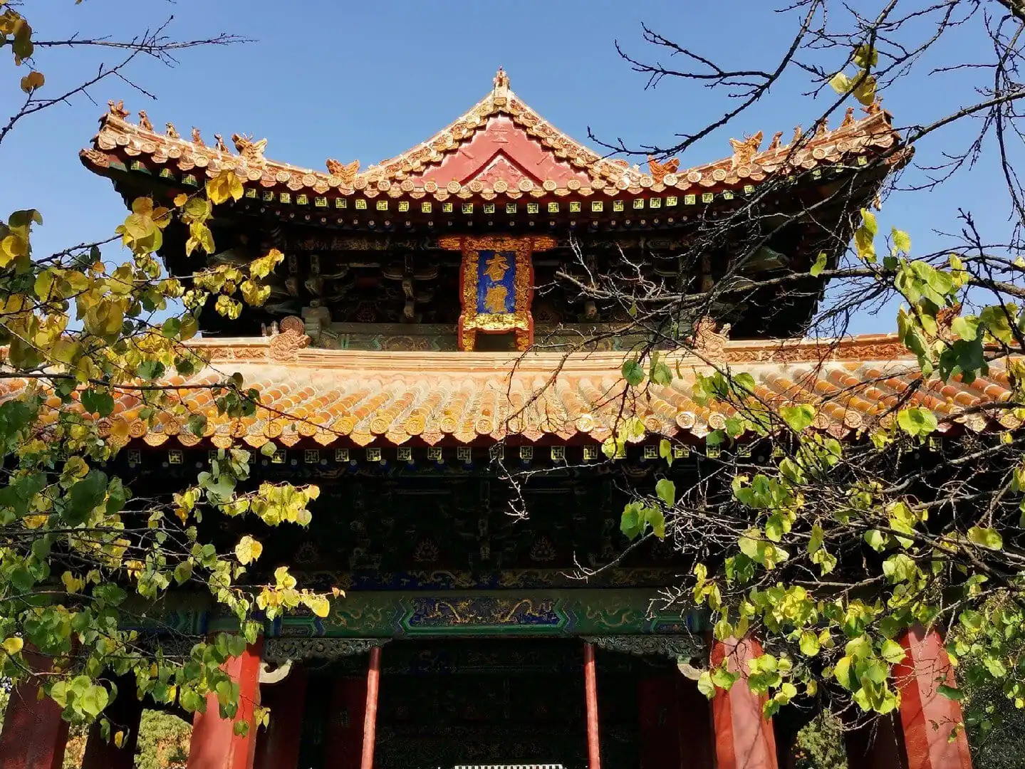 Traditional Chinese temple with ornate roof and surrounding greenery.