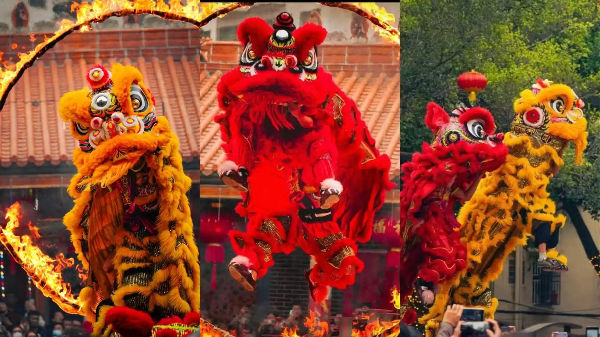 7-Day Chinese New Year Adventure: Cultural Journey Through Southern China’s Celebrations
