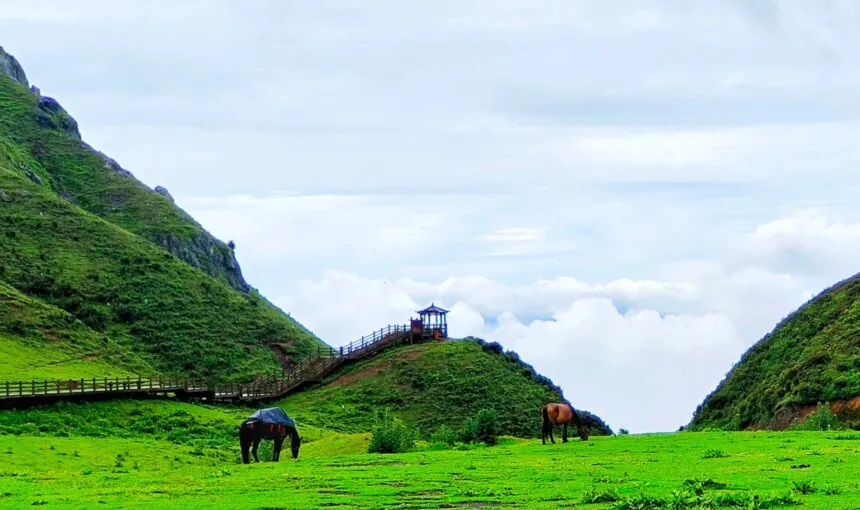 How to Plan the Perfect Trip to Liupanshui Wumeng Prairie