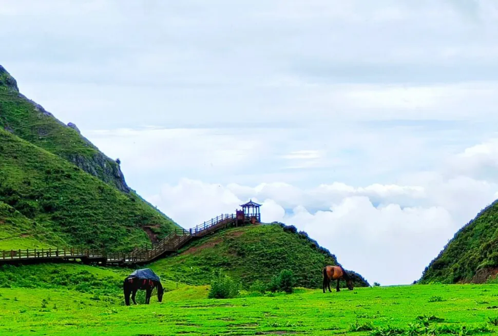 Green hillside valley with a wooden walkway and gazebo, two horses grazing under a cloudy sky.Wumeng Prairie,Liupanshui,Guizhou