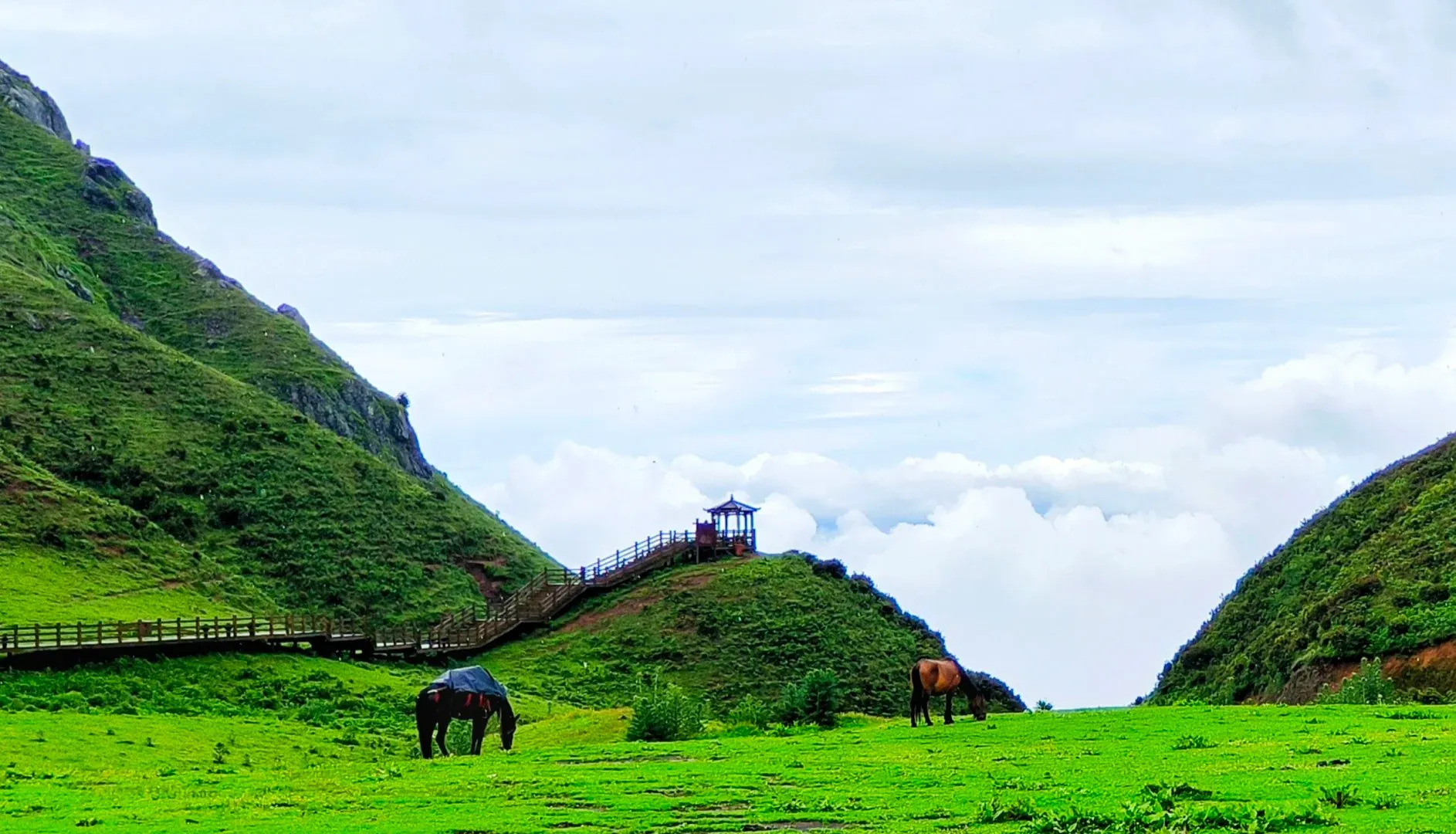 Green hillside valley with a wooden walkway and gazebo, two horses grazing under a cloudy sky.Wumeng Prairie,Liupanshui,Guizhou