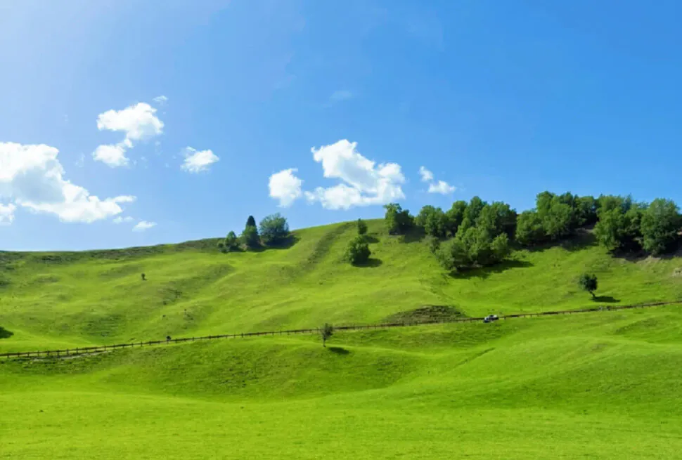 Narati Grassland,Ili,Xinjiang,Chinatravel