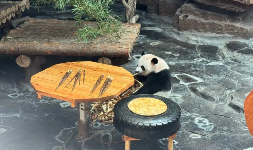 Jinan Wildlife World The Ultimate Family-Friendly Experience