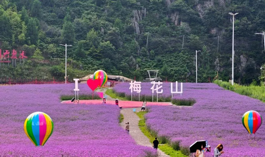 Top Family-Friendly Activities in Liupanshui Meihua Mountain Tourist Scenic Area