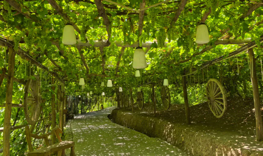 Your Essential Guide to Visiting Turpan Grape Valley