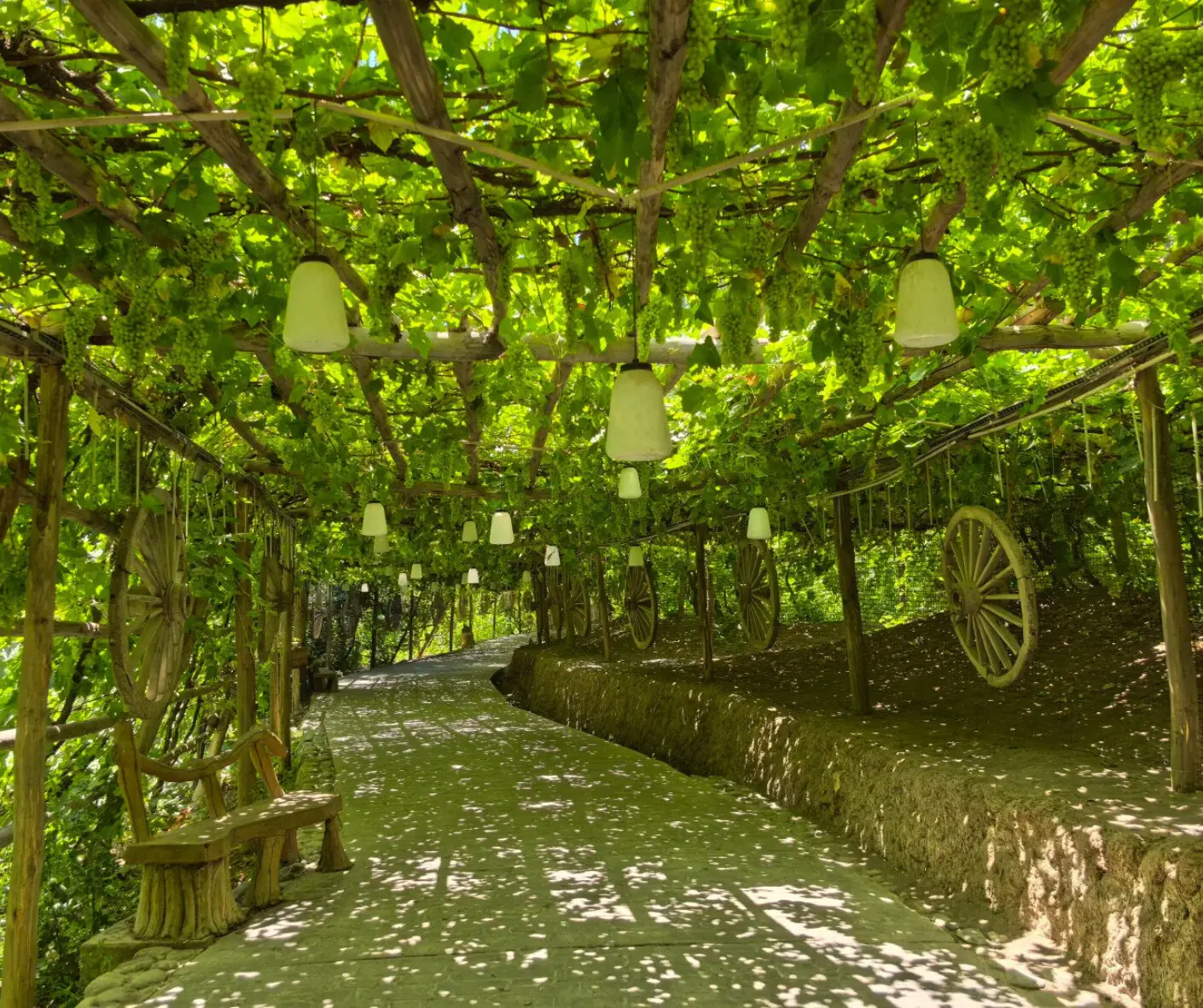 A lush green pathway shaded by grapevine trellis with hanging lanterns and wooden wheels,Turpan Grape Valley,Turpan,Xinjiang,Chinatravel