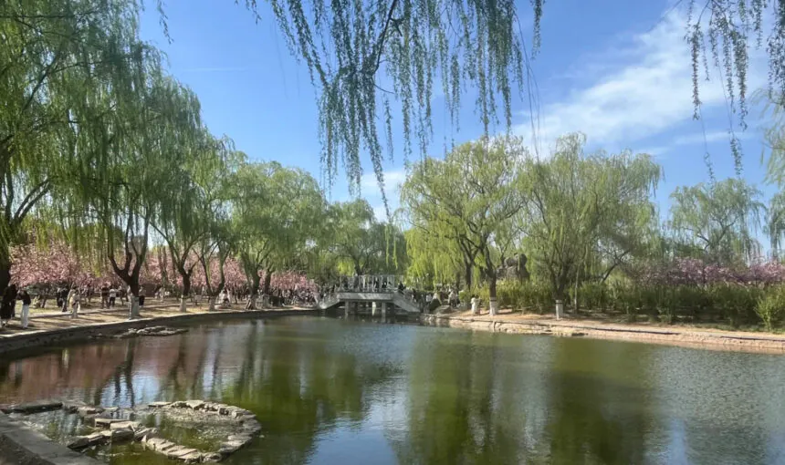 Making the Most of Your Shijiazhuang Botanical Garden Experience