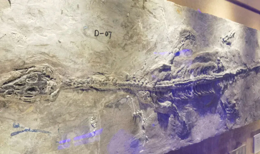 Family-Friendly Guide to China Dinosaur Park
