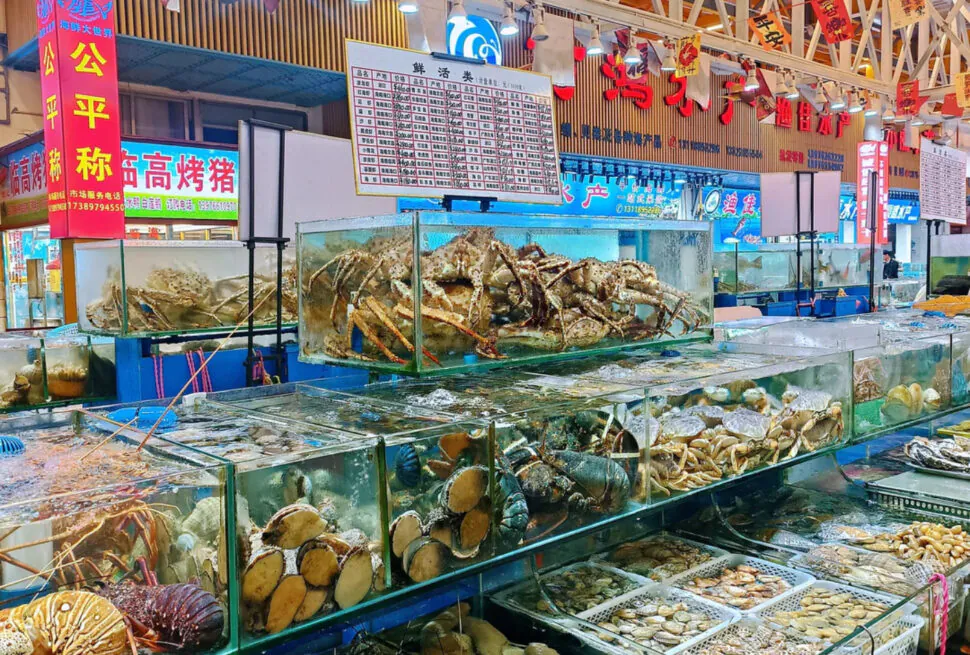 Fresh seafood display at a market in China, including crabs, lobsters, and shellfish.