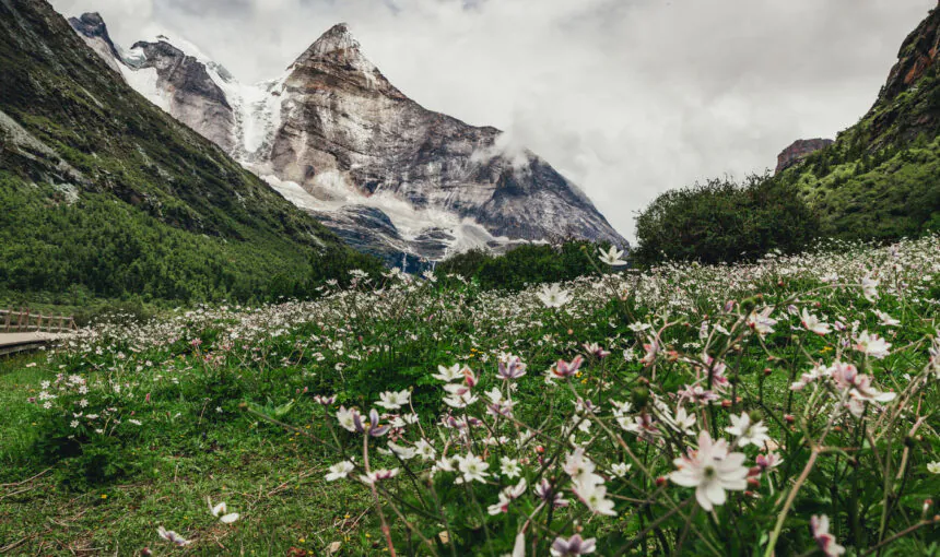 Best Times to Visit Shangri-La Based on Monthly Weather