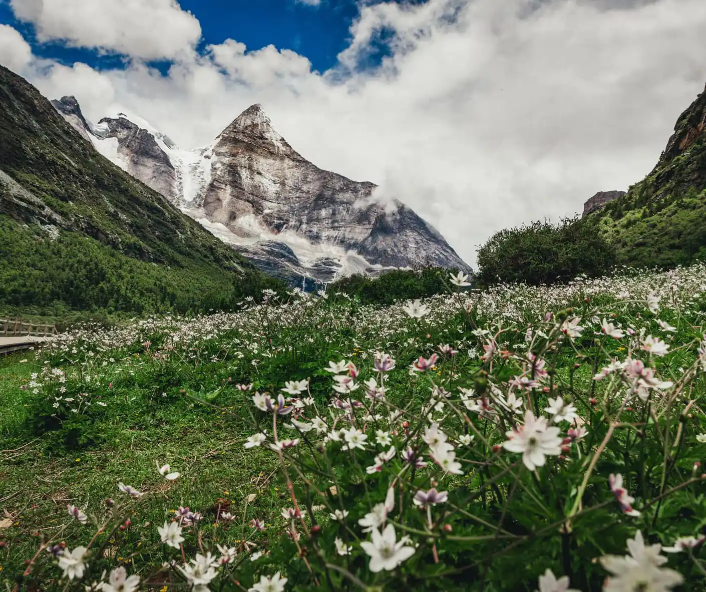 Scenic view of snow-capped mountains, green valley, and blooming flowers in a national park in China.