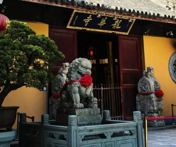 Temple entrance with two carved stone guardian lions wearing red ribbons, beside a bonsai tree and yellow wall under a traditional roof with lanterns.