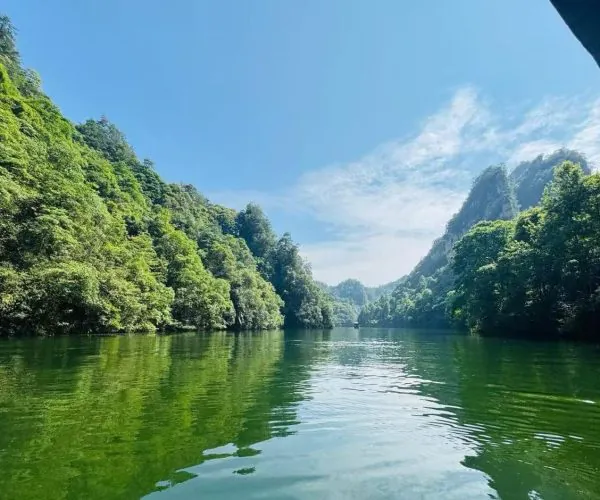 Calm river winds through a green forested canyon with blue sky, viewed from a boat.