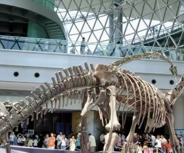 Giant dinosaur skeleton on display inside a modern museum hall with visitors nearby and a glass-paneled ceiling above.