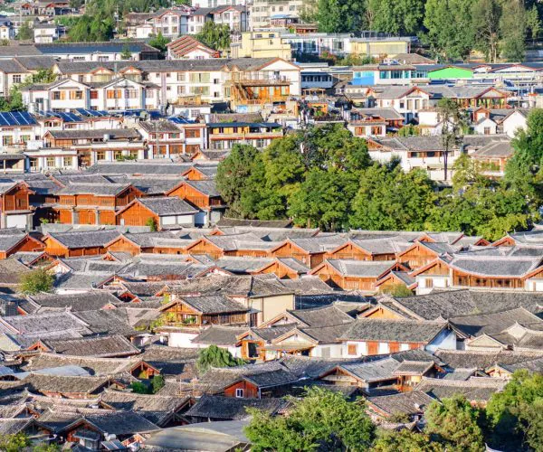 Lijiang Old Town,Lijiang,Chinatravel Aerial view of a hillside town with dense red wooden houses and gray tiled roofs, surrounded by green trees.