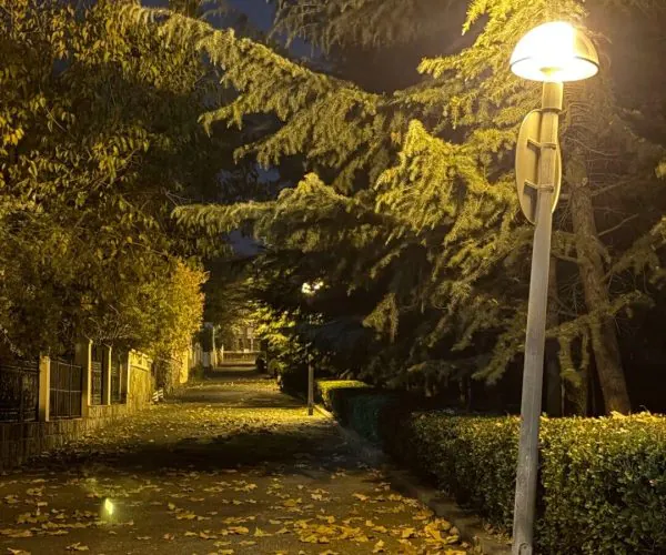 Badaguan Scenic Area,Qingdao,Chinatravel Nighttime street scene with a glowing streetlamp and autumn leaves on the sidewalk beside a hedge and trees.