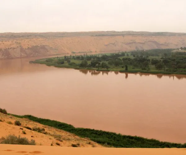 Ningxia,China tour Brown river winding through an arid desert with a green, tree-dotted island and sandy cliffs in the distance.