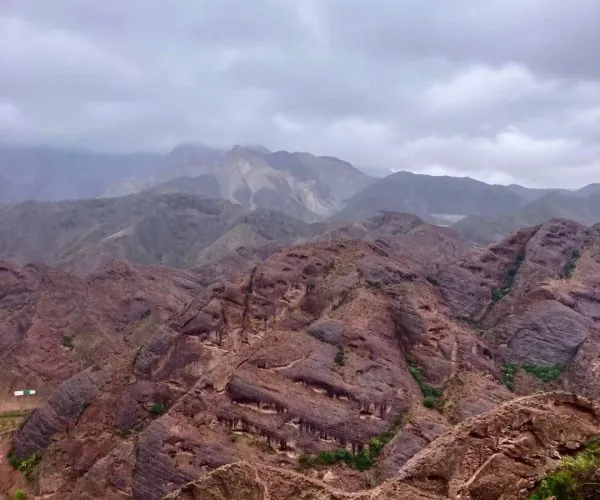 Sikouzi Scenic Area,Zhongwei,China tour Rugged red-brown canyon ridges under an overcast sky, with distant blue mountains and patches of green in the foreground.