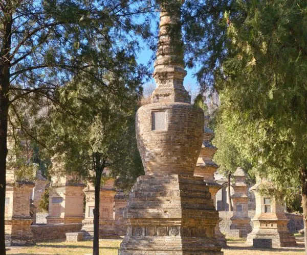 Shaolin Temple Pagoda Forest,Shaolin & Songshan Area,Chinatrip Ancient stone pagoda monument in a park-like cemetery, surrounded by other brick stupas and green trees under a blue sky.