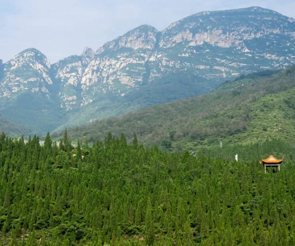 Song Mountain,Shaolin & Songshan Area,Chinatrip Mountain range behind a dense pine forest with a small orange-roofed pavilion on the right side.