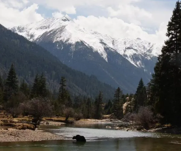 Xin Lake,Nyingchi,China tour Snowy mountain range rises above a forested valley beside a calm river, under a partly cloudy sky.
