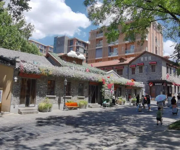 Tanhualin Old Street,Wuhan,Chinatravel A sunny street lined with gray stone shops covered in flowering vines, with people strolling and a modern building behind.