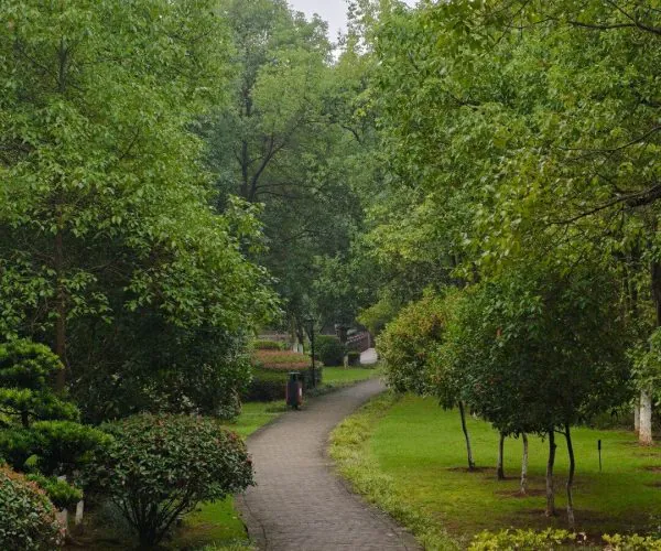 Xingsha Ecological Park,Changsha,Chinatravel Curved brick path through a lush green park with tall trees and shrubs on both sides