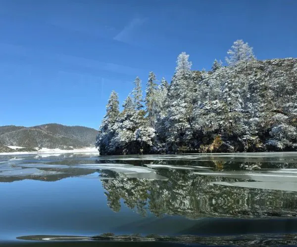 Pudacuo National Park,Shangri-La,Chinatravel Snow-covered trees on a rocky lakeshore, reflected in calm, partially ice-covered water under a clear blue sky.