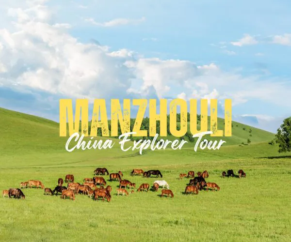 Manzhouli,Inner Mongolia,China tour Promotional banner on a grassy hillside: bold yellow 'MANZHOUOLI' with white 'China Explorer Tour' text over a herd of horses. ``Yes``