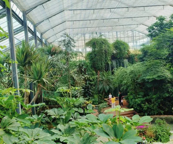 Moshan Hill & Botanical Gardens,Wuhan,Chinatravel Inside a glass greenhouse filled with tropical plants; a winding brick path and a few visitors near a wooden deck.