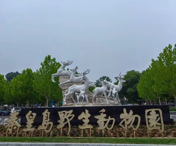 Qinhuangdao Safari Park,Qinhuangdao,Chinatravel Group of white deer statues arranged on a rock pedestal at the entrance of Qinhuangdao Wild Animal Park, in front of a large black sign with golden Chinese characters of the park’s name.