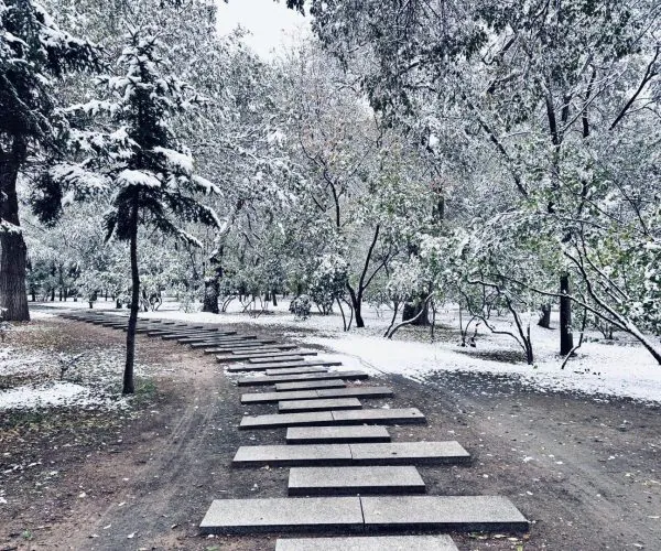 Daqing Saertu Forest Park,Daqing,Chinatravel Snow-covered park path with square stepping stones winding through snow-dusted trees in winter.
