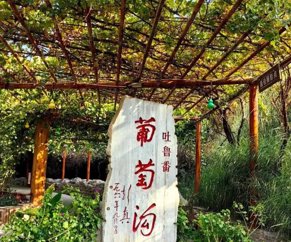 Grape Valley,Turpan,China tour White stone slab with red Chinese characters stands among potted plants under a wooden trellis with hanging wicker baskets and lanterns in a sunny garden.