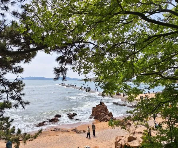 Qingdao Beach Belt ,Qingdao,Chinatravel Greenery frames a rocky beach with people along the shore and a calm sea beyond, under a bright sky.