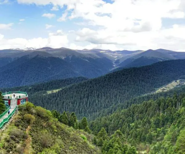 Lulang Forest,Nyingchi,China tour View from a hillside viewing platform with green railings over a forested mountain valley.