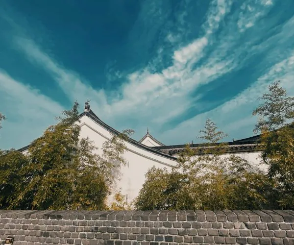 Yellow Mountains ,Huangshan,Chinatravel White-walled traditional building with dark tiled roofs peeks above bamboo, under a bright blue sky with wispy clouds.
